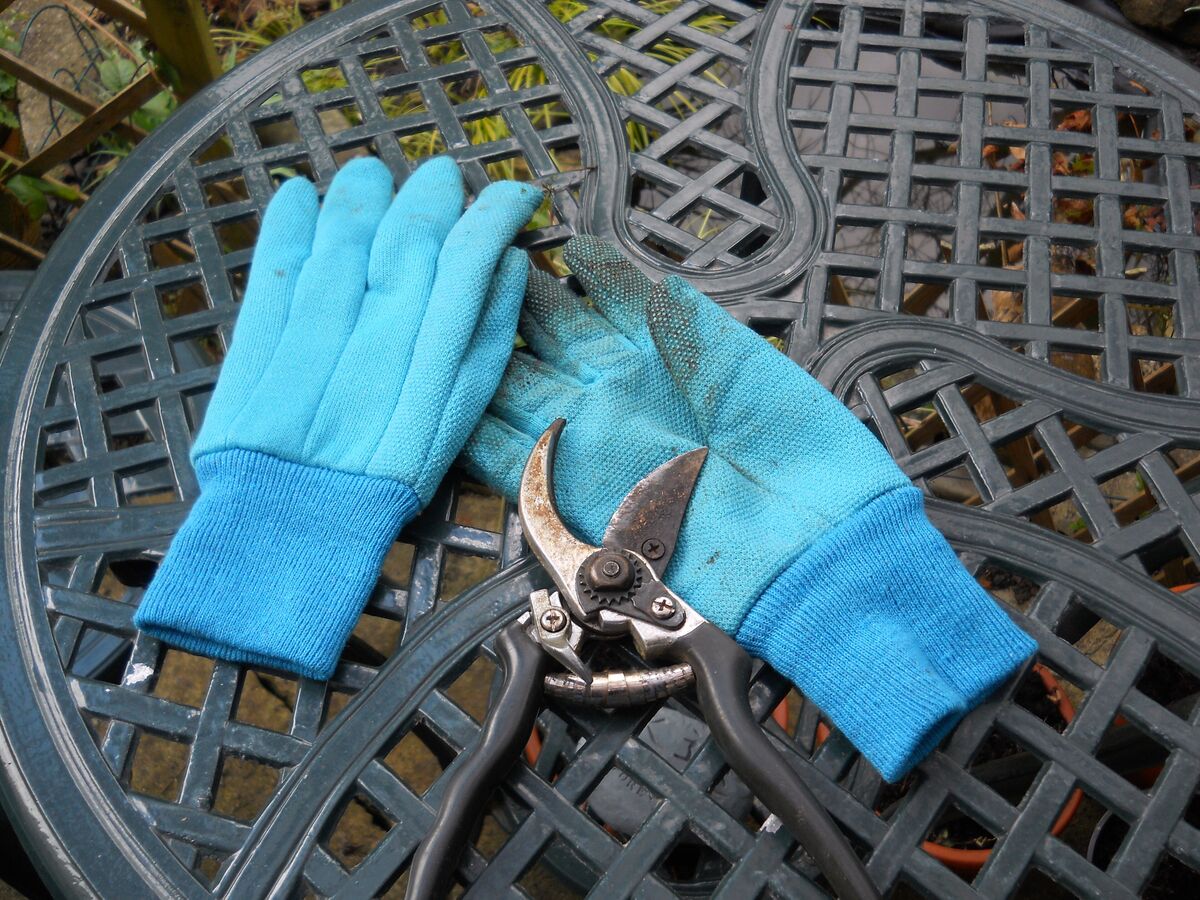 Blauwe tuinhandschoenen en een snoeischaar op een tuintafel