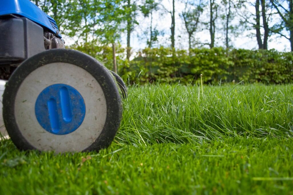 Het wiel van een grasmaaier in hoog gras